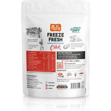 Pol's Freeze Fresh Çilek 15 g x15 adet Freeze Dry Dondurularak Kurutulmuş Meyve