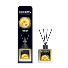 Blueberry Melon Oda Kokusu  100 ml