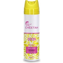 Cheetah Queen Kadın Deodorant 150 ml Çiçeksi-Meyveli