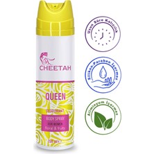 Cheetah Queen Kadın Deodorant 150 ml Çiçeksi-Meyveli