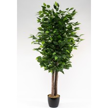 TeknoTrust Yapay Benjamin Ağacı, Siyah Saksıda, 150 cm, Yoğun Yapraklı, Canlı Yeşil Renk