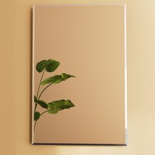 VitrA Marin A44949 Aksesuar Seti, 7 Parça, Krom