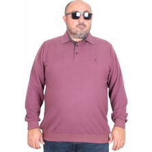 Moc Grande Erkek Büyük Beden Polo Yaka Sweat Feel Good 24408 Eflatun