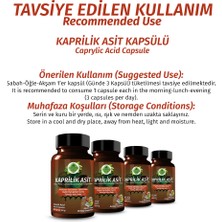 Kaprilik Asit Kapsül (CAPRYLİC ACİD CAPSULE)