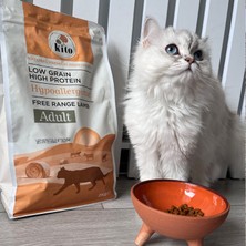 Yetişkin Kedi Maması 2 kg + Somon Etli Kito Fresh x 6