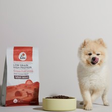 Kito Yetişkin Mini Irk Köpek Maması 2.5 kg + Dana Etli Kito Fresh x 6