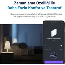 Hybrone Duvar Tipi Tekli Akıllı Anahtar, Aşırı Yük Koruma, Zamanlayıcı, Ayarlanabilir LED Gösterge, Uygulama ile Uzaktan Kontrol