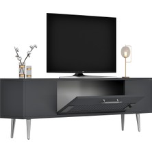 Cantek Dizayn Fashionn Tv Sehpası (Alt Modül) Antrasit-Gümüş
