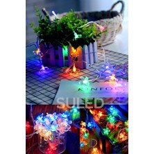 Suled Rgb 5 Metre Gül LED 20 LED 220V Fişli Tak Çalıştır Dekoratif Iç ve Dış Mekan Süsleme Işığı