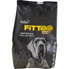 Fittoo Yetişkin Köpek Maması 2 kg