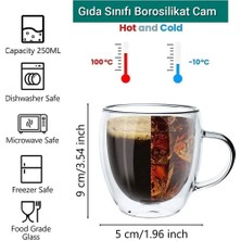 Çift Camlı Çift Cidarlı El Yapımı Cam Kupa Ev Ofis Fincanı 250 ml Çift Katlı Isı Yalıtımlı Kulplu Cam Bardak