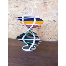 Bilim ve Sanat Tutkunlarına Dna Kalemlik | Ofis ve Çalışma Alanınıza Yenilikçi Bir Hediye