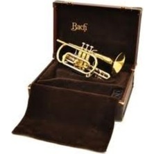 Bach 184L Kornet