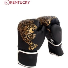 Kentucky Hook Boks Eldiveni Kick Boks Muay Thai Boks Eldiveni