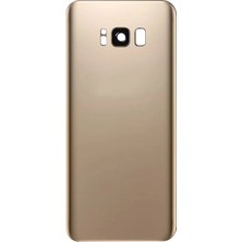 Teknonet Samsung Galaxy G955 S8 Plus Uyumlu Kamera Camlı Batarya Kapağı