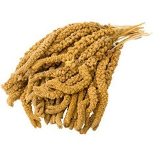 EuroGold Sarı Dal Darı 1 kg