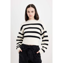 DeFacto Regular Fit Çizgili Bisiklet Yaka Triko Kazak R1285AZ24CW