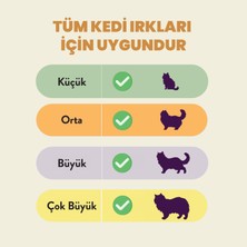 Kito Freeze Dried Somon Ödül Maması Kediler için (30 gr)