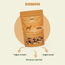 Kito Freeze Dried Somon Ödül Maması Köpekler Için (30 gr)