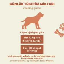 Kito Skin & Coat Köpekler Için Tüy Sağlığı Destekleyici Multivitamin Tüy Dökümü Önleyici Biyotin