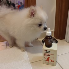 Kito Skin & Coat Köpekler Için Tüy Sağlığı Destekleyici Multivitamin Tüy Dökümü Önleyici Biyotin