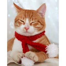 Mimono Yılbaşı Kostümü Kedi Şapka ve Atkı Seti