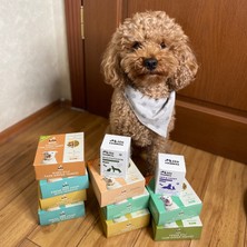 Kito Fresh Köpekler için %100 Taze İçerikli Mama Tanışma Paketi