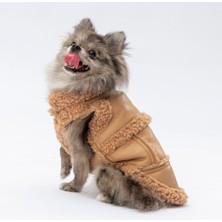Pawstar Bej Churchill Su Geçirmez Küçük Irk Köpek Yeleği