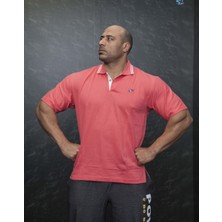 Polo Yaka Pamuklu Tişört Big Sam 2703