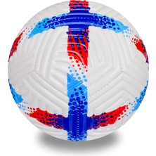 ALASTOR Profesyonel Futbol Topu 3'lü Set Dikişli Futbol Topu Sert Zemin Halı Saha Futbol Topu Yüksek Kaliteli Futbol Topu Tekmelik (Dizlik) Pompa Dahildir.