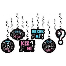 Cinsiyet Belirleme Partisi Tavan Süs Seti 6'lı