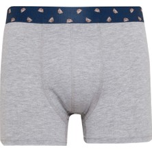 DeFacto Regular Fit Hayvan Baskılı 3'lü Boxer E0034AX24WN