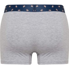 DeFacto Regular Fit Hayvan Baskılı 3'lü Boxer E0034AX24WN