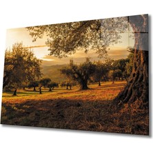 Marsilyan Teknoo- Son Bahar Cam Tablo