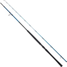 Ryuji Shore Game Fuji Kw 285 cm 25-85 gr Shore Jig Kamışı