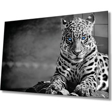 Marsilyan Teknoo- Çita Hayvan Portresi Cam Tablo, Ev ve Ofis Duvar Dekoru,