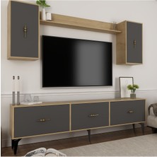 Cantek Dizayn Zeuss 180  cm  Tv Ünitesi Takımı Safirmeşe-Antrasit