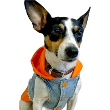 Ziggy Dog  Köpek Kıyafeti Kot Yelek Turuncu Baskılı