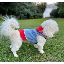Ziggy Dog  Köpek Kıyafeti Kot Yelek Kımızı