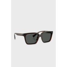 Armani Exchange Güneş Gözlük Erkek Gözlük 0AX4147S 835773 56