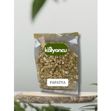 Kalyoncu Papatya 40 gr (Mayıs Papatyası)