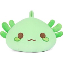 Fendii Sevimli Salamander Peluş Oyuncak, Yumuşak Doldurulmuş Hayvan Salamander Peluş Yastık, Kawaii Çocuk Peluş Oyuncak (Yeşil Salamander, 28 Inç) (Yurt Dışından)