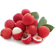 Yavuz Fidancılık Liçi (Lychee, Litchi) Fidanı 1 YAŞ 20 CM (YERLİ ÜRETİM)