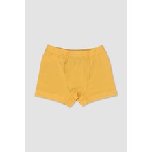 Elmas Kids Erkek Çocuk Pamuklu Sevimli Hayvanlar Desenli 3 Lü Boxer Seti
