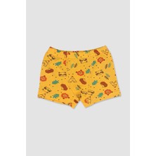Elmas Kids Erkek Çocuk Pamuklu Sevimli Hayvanlar Desenli 3 Lü Boxer Seti