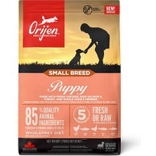 Orijen Small Breed Puppy Küçük Irk Tahılsız Yavru Köpek Maması 1,8 kg