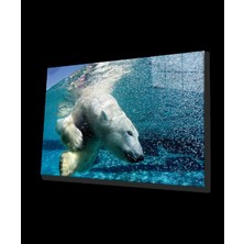 Beyaz Ayı Cam Tablo White Bear In Sea