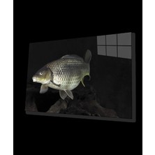 Balık Hayvan  Cam Tablo
