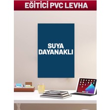 Dicle X Store Çocuklar Için Eğitici Pvc Posterler