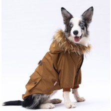 Pawstar Camel Chrles Büyük Irk Yağmurluk